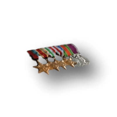 swing-mount-mini-medals